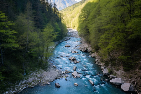 夏季山间清澈的河流图片