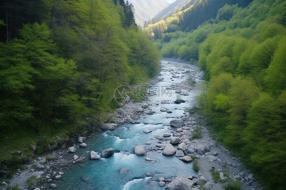 夏季山间景色优美的河流图片