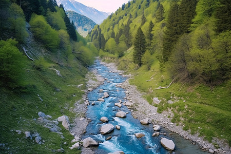 夏季流淌的山间河流图片