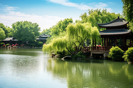 江南水乡一幅美丽的湖畔景色背景图片