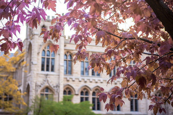 学术艺术钟楼图片