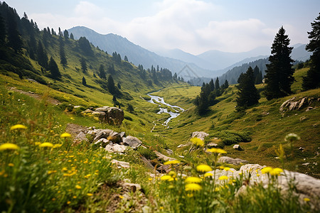 高山流水图片