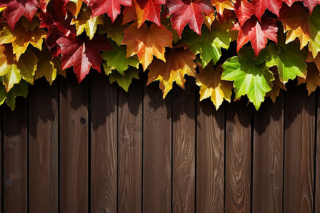木板上的秋季枫叶背景图片