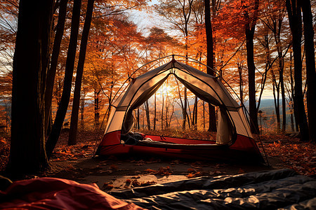 落叶间的帐篷图片