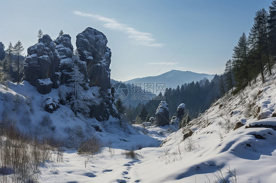 雪山冬日行图片