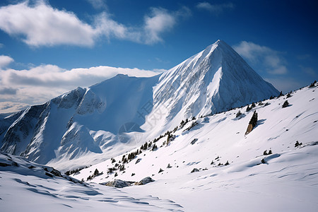 美丽的雪山景观背景图片