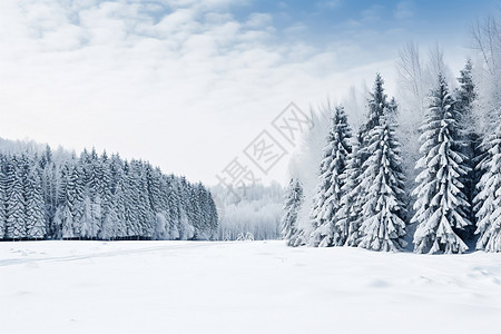 喀纳斯雪景冬日的雪景背景