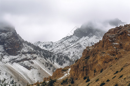 雪山景雪山中的自然山景背景