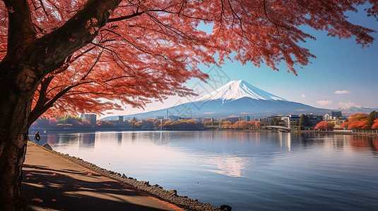 东京热枫叶洒满山间湖畔背景