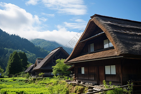 乡村的小屋图片