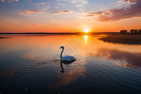 夏日黄昏的水面背景图片