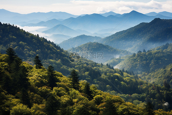 山脉与森林的风景图片