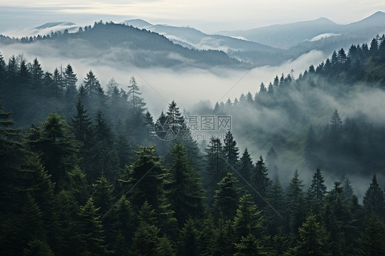 山林中的雾霾图片