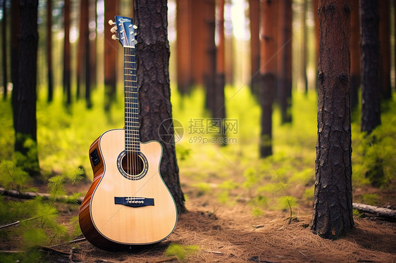 森林中的吉他图片