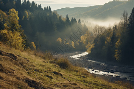 清晨雾气笼罩的自然风景背景图片