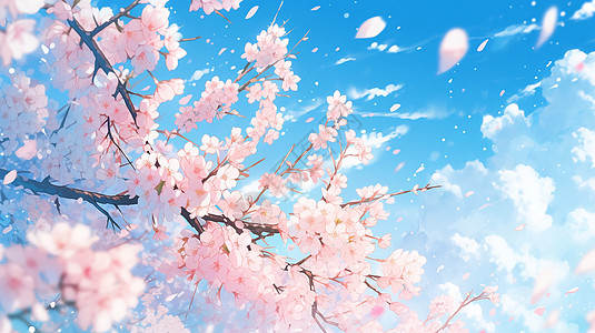 樱花绽放的美妙风景图片