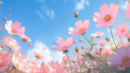 梦幻美丽的粉色花海插图图片
