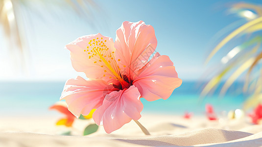 海滩上的粉色花朵图片