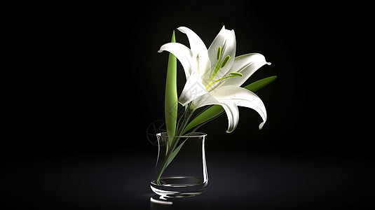 玻璃花瓶中的一朵花朵图片