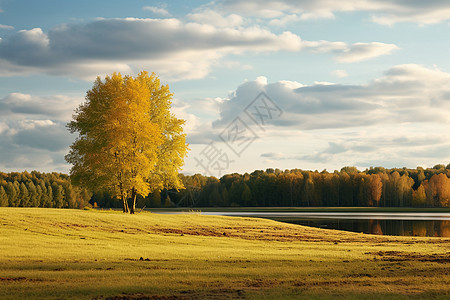 湖边秋天之树图片