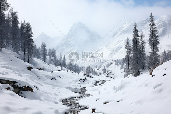 冬日的雪山森林图片