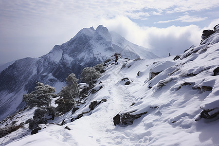 美丽壮观的雪山图片