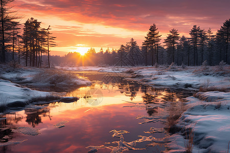 雪森林冬日夕阳下的湖泊背景