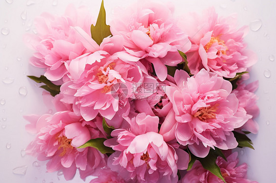 粉色的花束图片