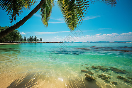 热带海岛的碧海蓝天图片