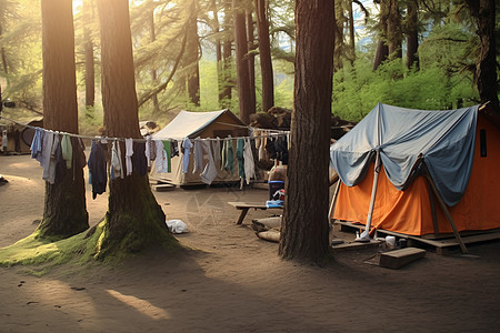 森林里的露营帐篷图片