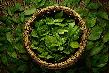 绿茶叶背景背景图片