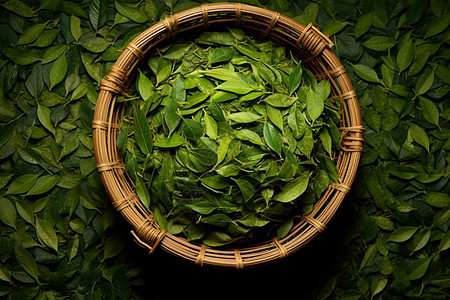 篮子里的绿茶背景图片