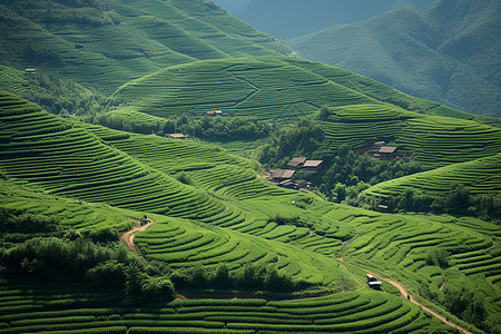 田野中的山居背景图片