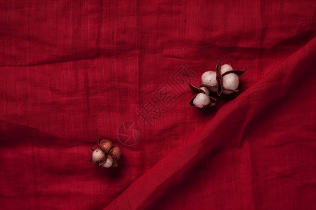 红色亚麻布料上的棉花图片