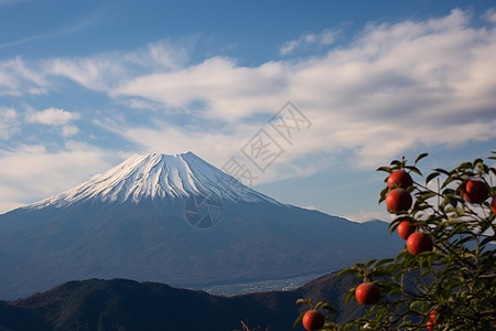 高高的火山图片