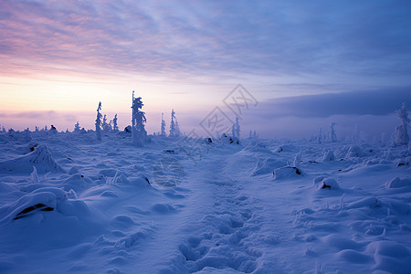 冬日白雪皑皑背景图片