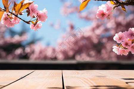 桃花盛开下的木桌图片