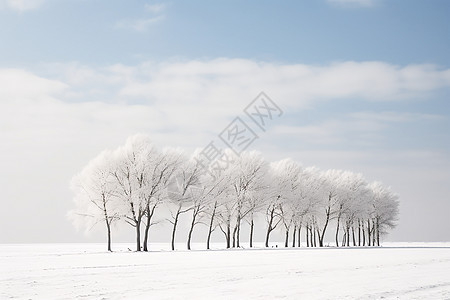 冬日飘雪中的树林图片