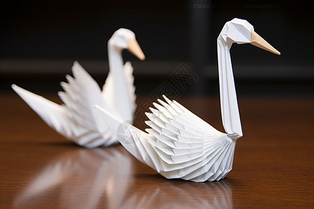优雅美丽的白天鹅模型图片
