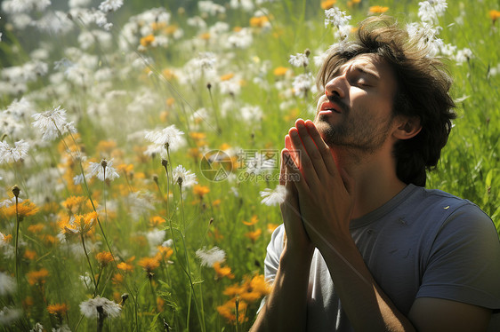 花海中打喷嚏的男子图片