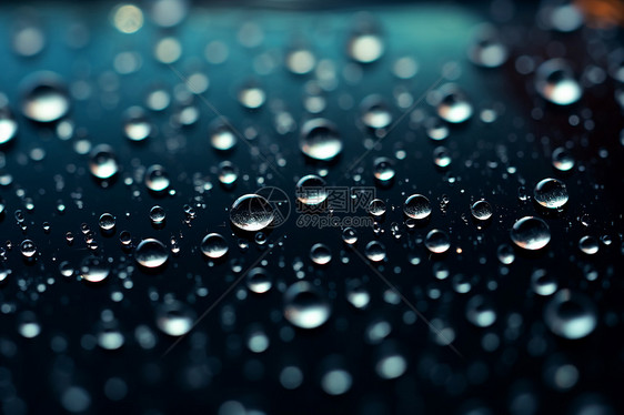 雨中的水滴图片