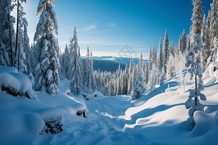 白雪皑皑的山峰背景图片