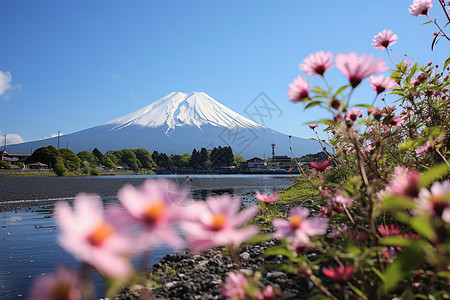 富士山的美景背景图片