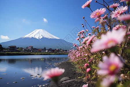 美丽的富士山背景图片