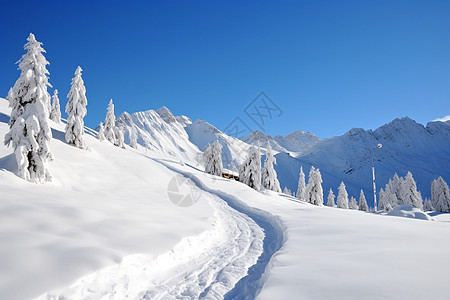 冰雪覆盖下的冬季风景背景图片