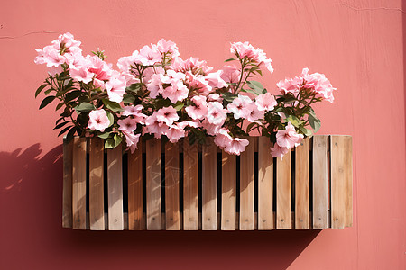 木架上的植物花束图片