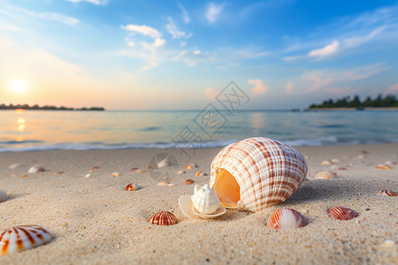 贝壳风铃余晖下的海滩贝壳背景