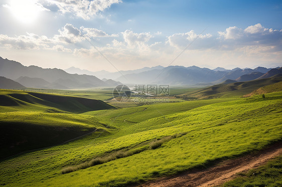 夏季山谷田野的美丽景观图片