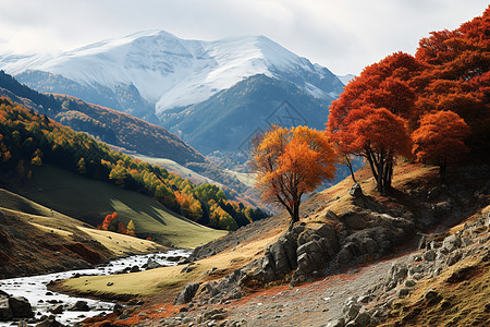 风景优美的秋季山谷景观图片