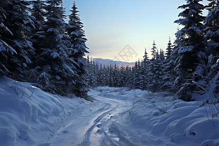 白雪皑皑的雪山景观图片